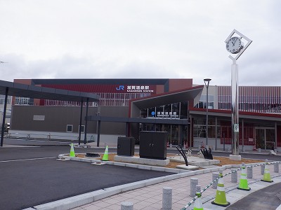 ���ꉷ��w�摜