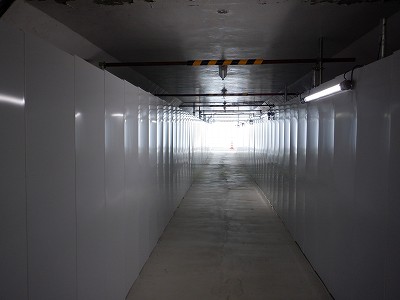 ���ꉷ��w�摜