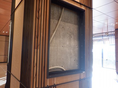 ��������w�摜