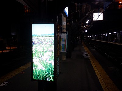 ��������w�摜