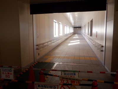 ��������w�摜