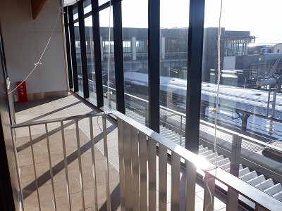 ��������w�摜