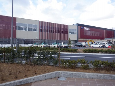 ���ꉷ��w�摜