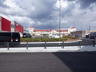 ���ꉷ��w�摜