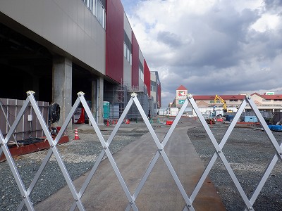 ���ꉷ��w�摜