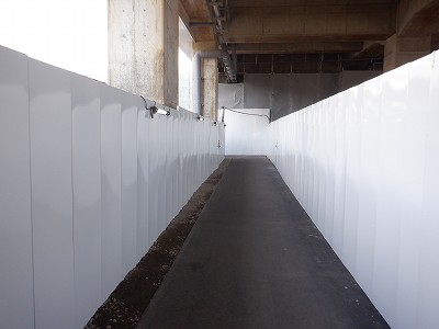 ���ꉷ��w�摜