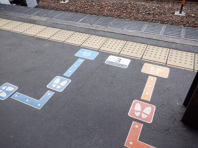 ���ꉷ��w�摜