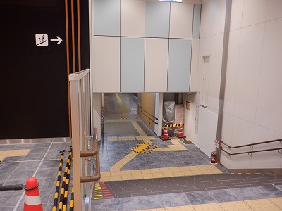 ���ꉷ��w�摜