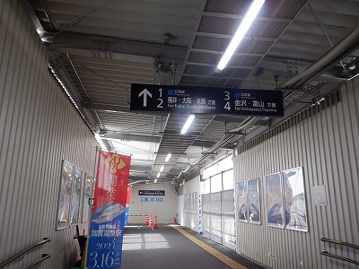 ���ꉷ��w�摜