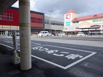 ���ꉷ��w�摜