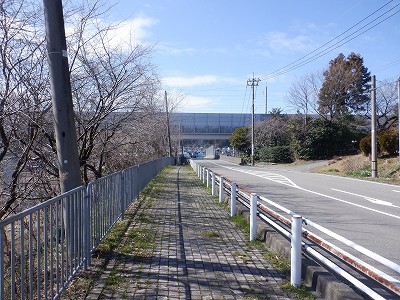 ��������w�摜