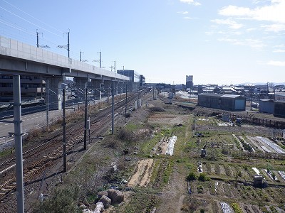 ��������w�摜