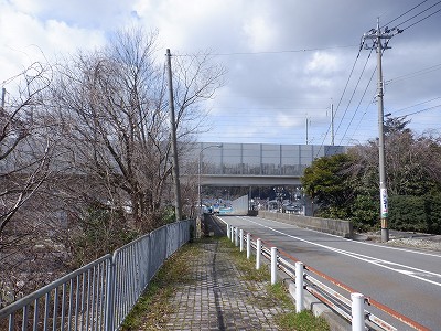 ��������w�摜