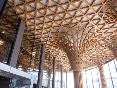 ��������w�摜