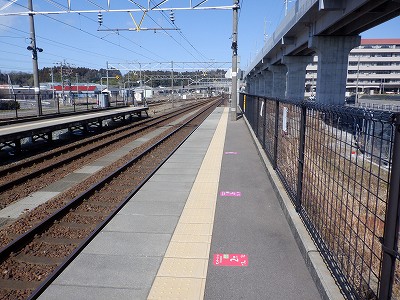 ��������w�摜