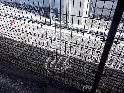 ��������w�摜