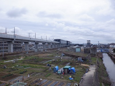 ��������w�摜