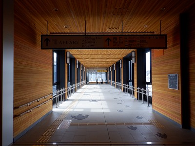 ��������w�摜