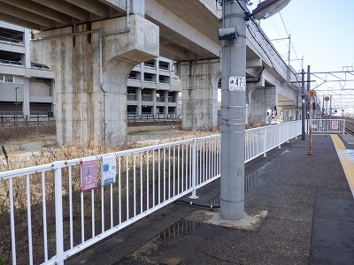 ���C�w�摜