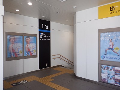 ���C�w�摜