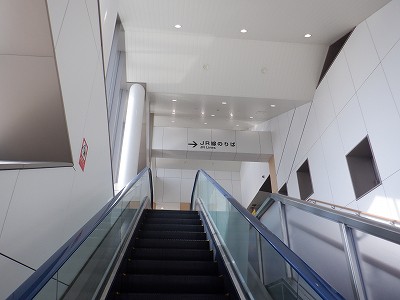 ���C�w�摜