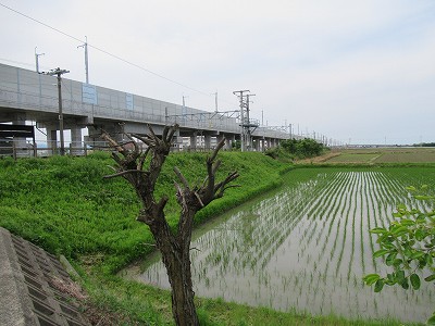 美川駅側