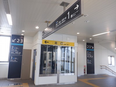 ���C�w�摜