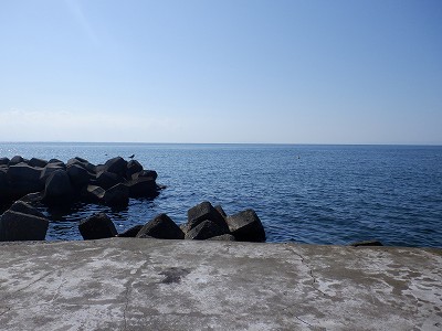 dSÉw摜