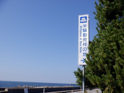 dSÉw摜