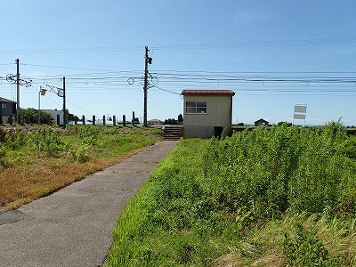 �z�������w�摜