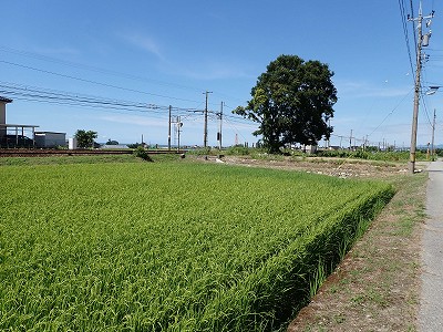 �z�������w�摜