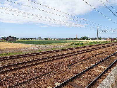 �z�������w�摜