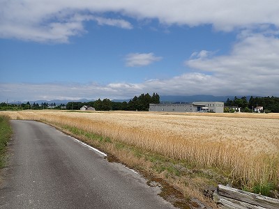 �z�������w�摜