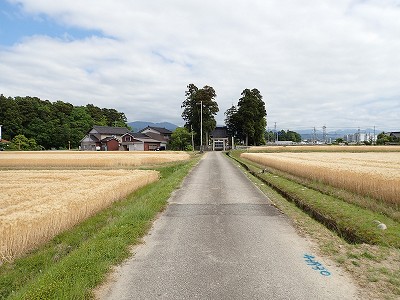 �z�������w�摜