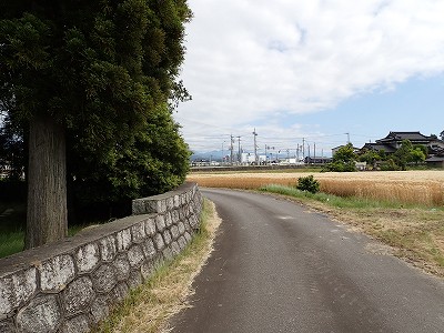 �z�������w�摜