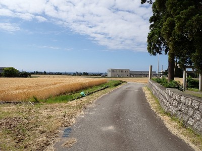 �z�������w�摜
