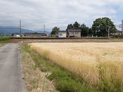 �z�������w�摜