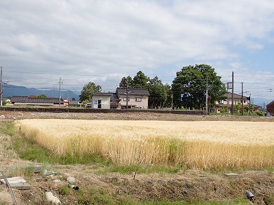�z�������w�摜
