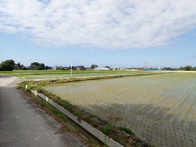 �z�������w�摜