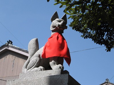 dSÉw摜