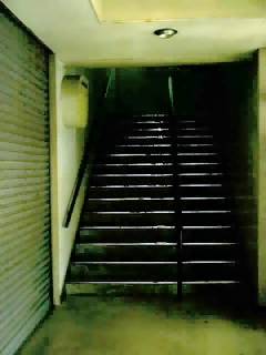 dSÉw摜