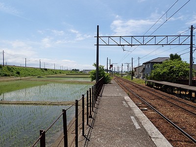 �����Éw�摜