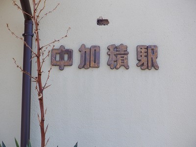 ωw摜