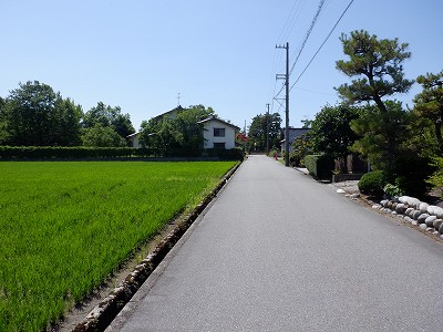 ωw摜