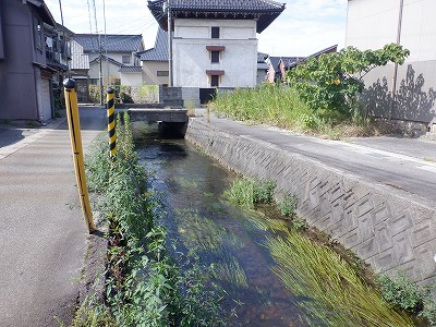 w摜