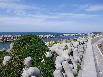 w摜