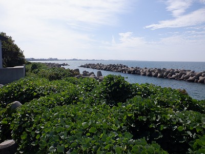 w摜