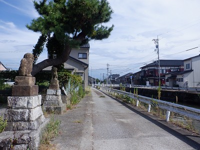 w摜