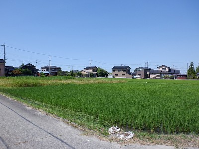 ωw摜