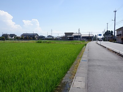 ωw摜